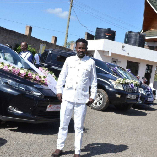 Steve m. profile photo