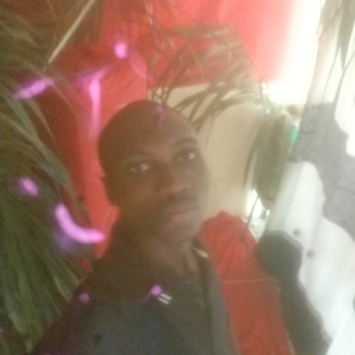 moses m. profile photo