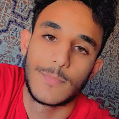 Emad Eddine R.