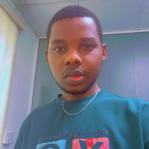 Temidayo A. profile photo
