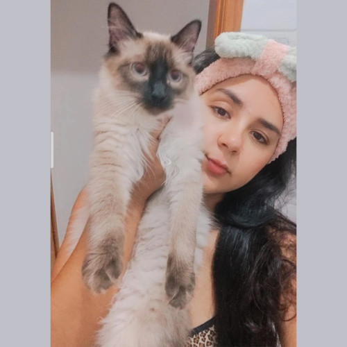 Jessica N. profile photo