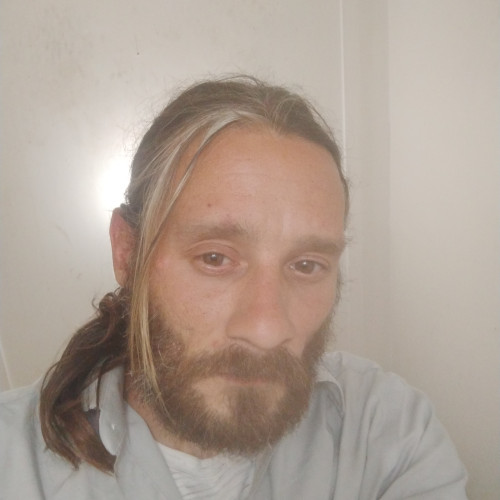David N. profile photo