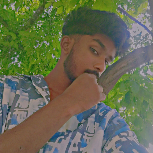 Malik M.