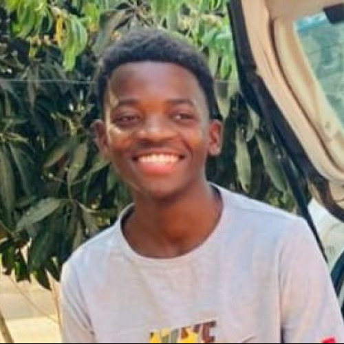 Tawananyasha  M. profile photo