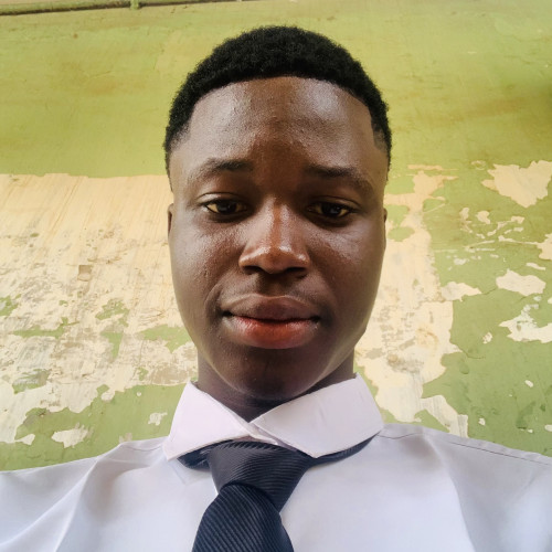 Olayinka U. profile photo