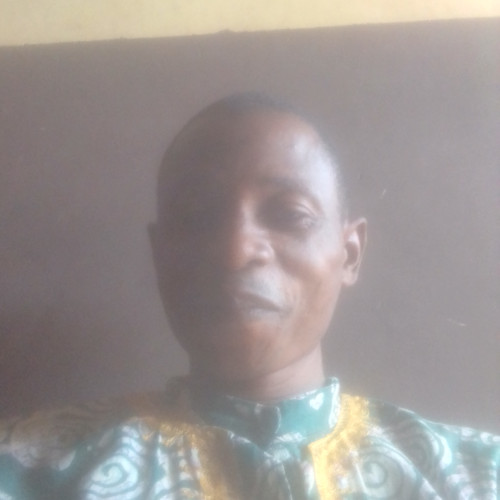 Stephen Toluwalogo O. profile photo