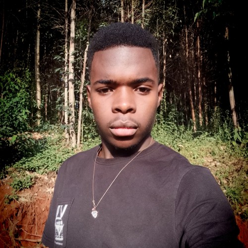 Allan K. profile photo