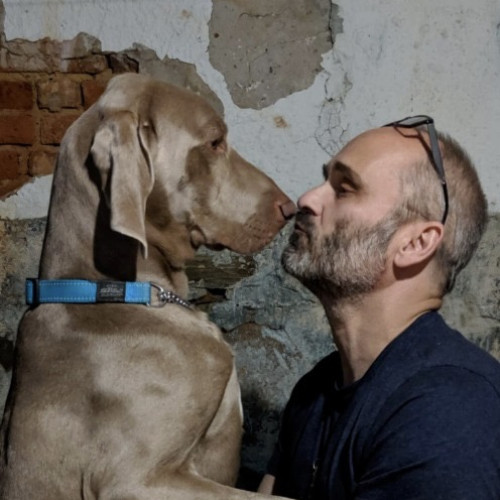 michael g. profile photo