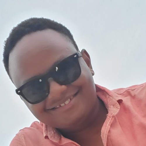 Brandon N. profile photo