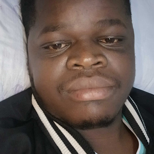 roy a. profile photo