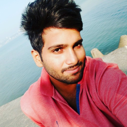 Bhavik V.