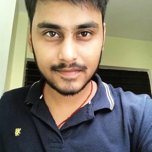 alok k. profile photo