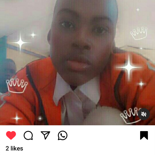 King m. profile photo