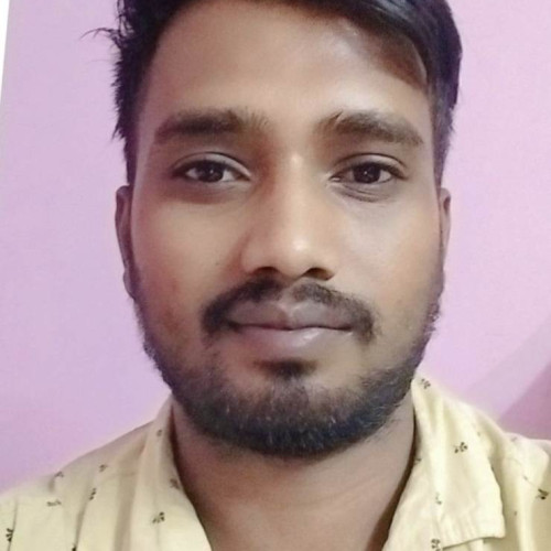 BOXER  . profile photo