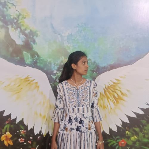 Angel  N.