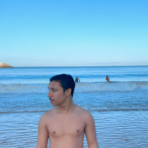 Hodaifa B.