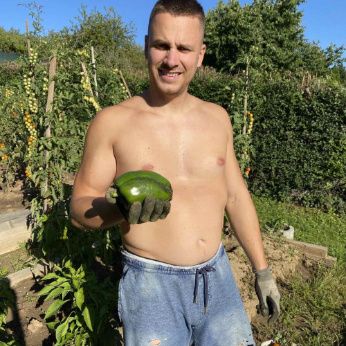 Tomas  F. profile photo