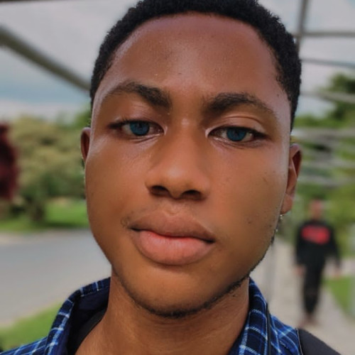 Royal N. profile photo