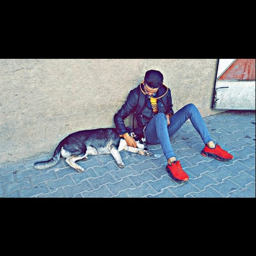 Youssef S. profile photo