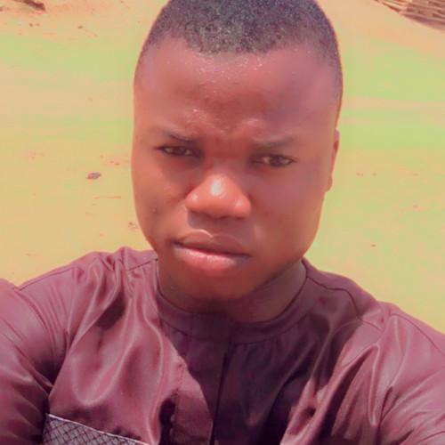 Ayoola  Y. profile photo