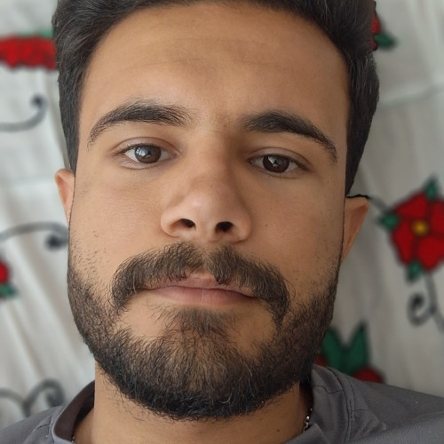 Arman K. profile photo
