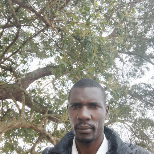 TUMWINE P. profile photo