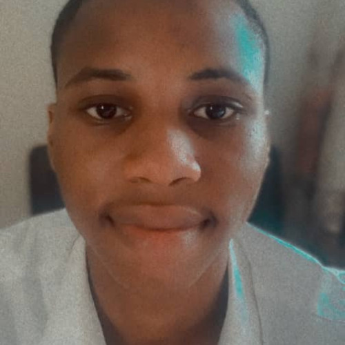 Eniola O. profile photo
