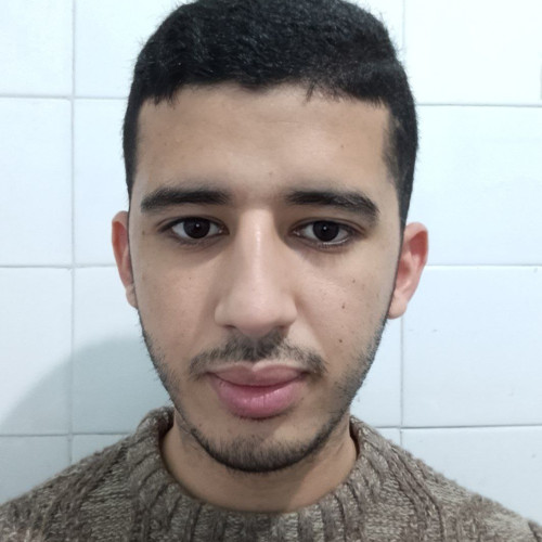 lahoussaine k. profile photo