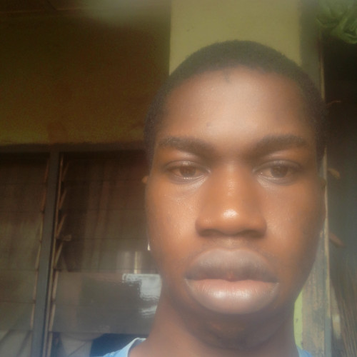 Somtochukwu O. profile photo