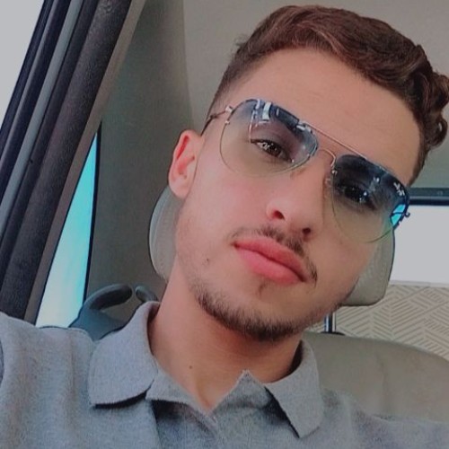 houssam l. profile photo