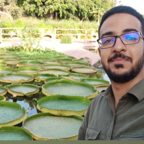 ahmed e.