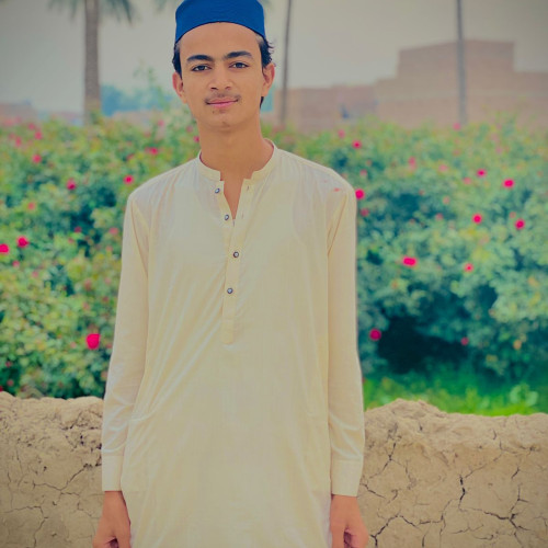 Naeem M. profile photo