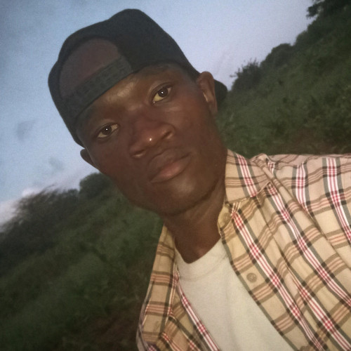 Moses M. profile photo