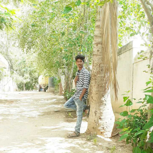 Deva t.