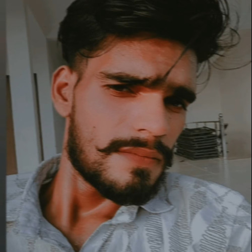 Manish S. profile photo