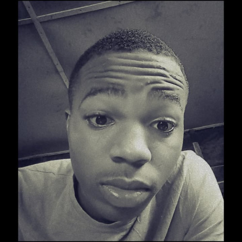 Taiwo A. profile photo