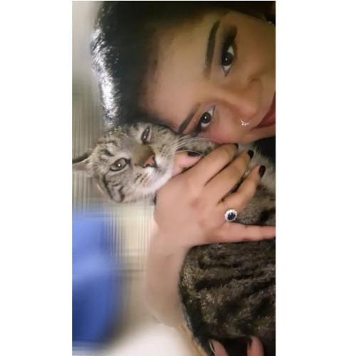Saiyini S. profile photo