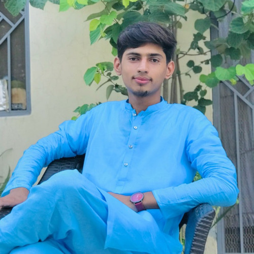 Talha Owais A. profile photo