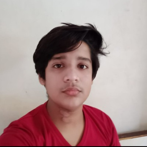 Shubham P. profile photo