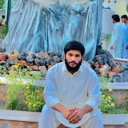 Arbab M.