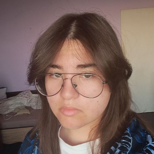Desislav D.