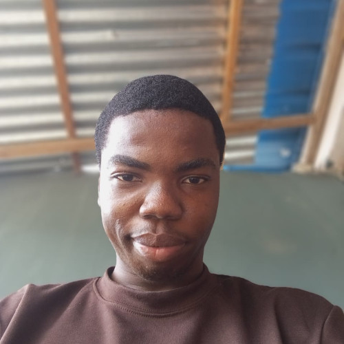 Godswill  N. profile photo