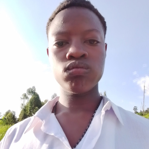 Dennis  N. profile photo
