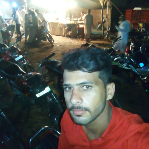 Ali R.