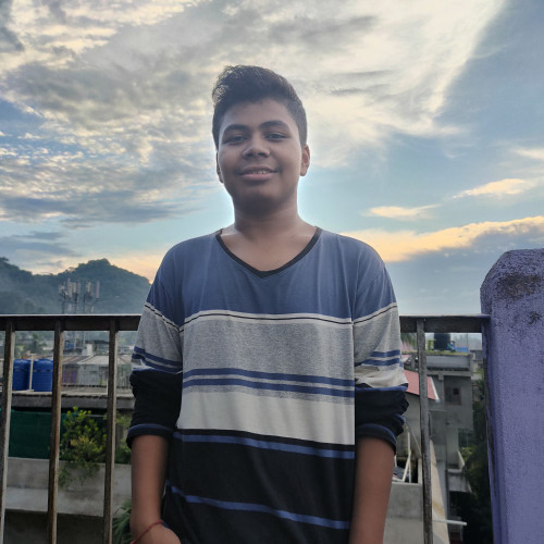 Prashenjit D.