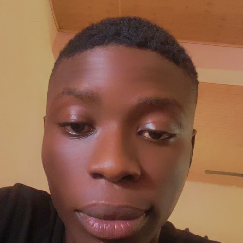 Adekunle A. profile photo