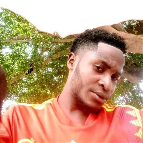 boyi M. profile photo