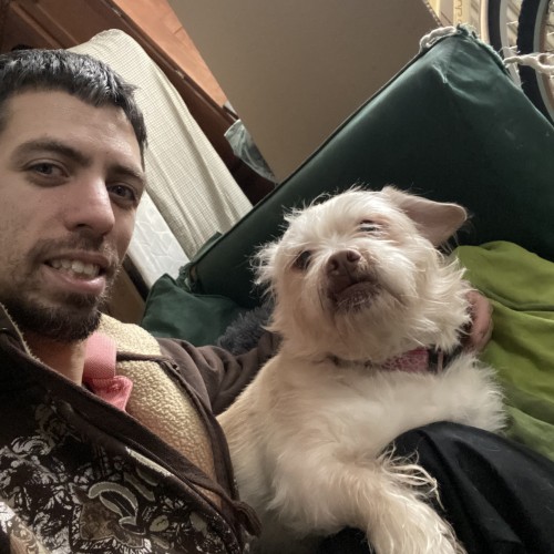 Daniel B. profile photo