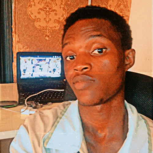 Omotayo I. profile photo