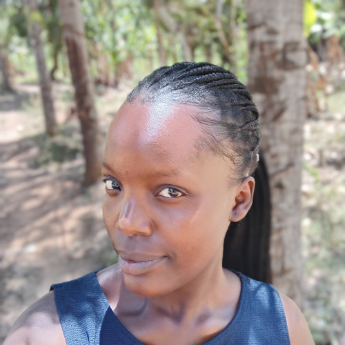 Laura O. profile photo